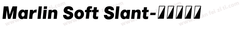 Marlin Soft Slant字体转换